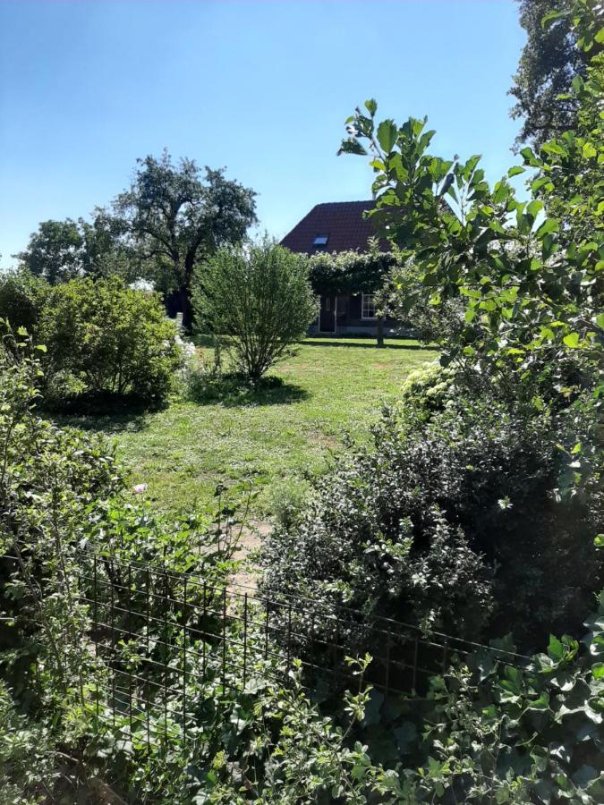 Bruiler Hof Bed & Breakfast Ruurlo Dış mekan fotoğraf